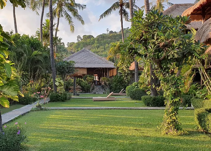 Coral View 3*