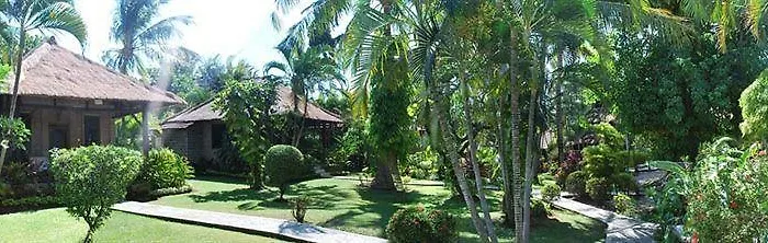 Coral View 3*