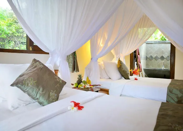 Coral View 3* Amed (Bali)